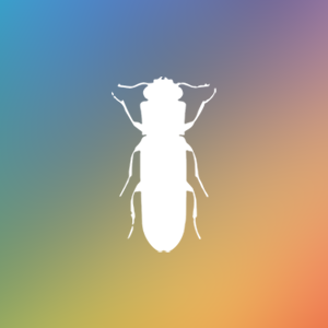 岨x(chng)(li)ϵy(tng)